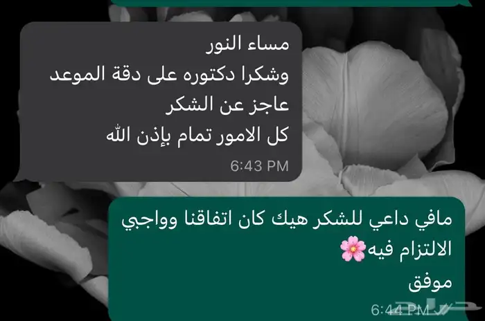 ترجمة معتمدة 8