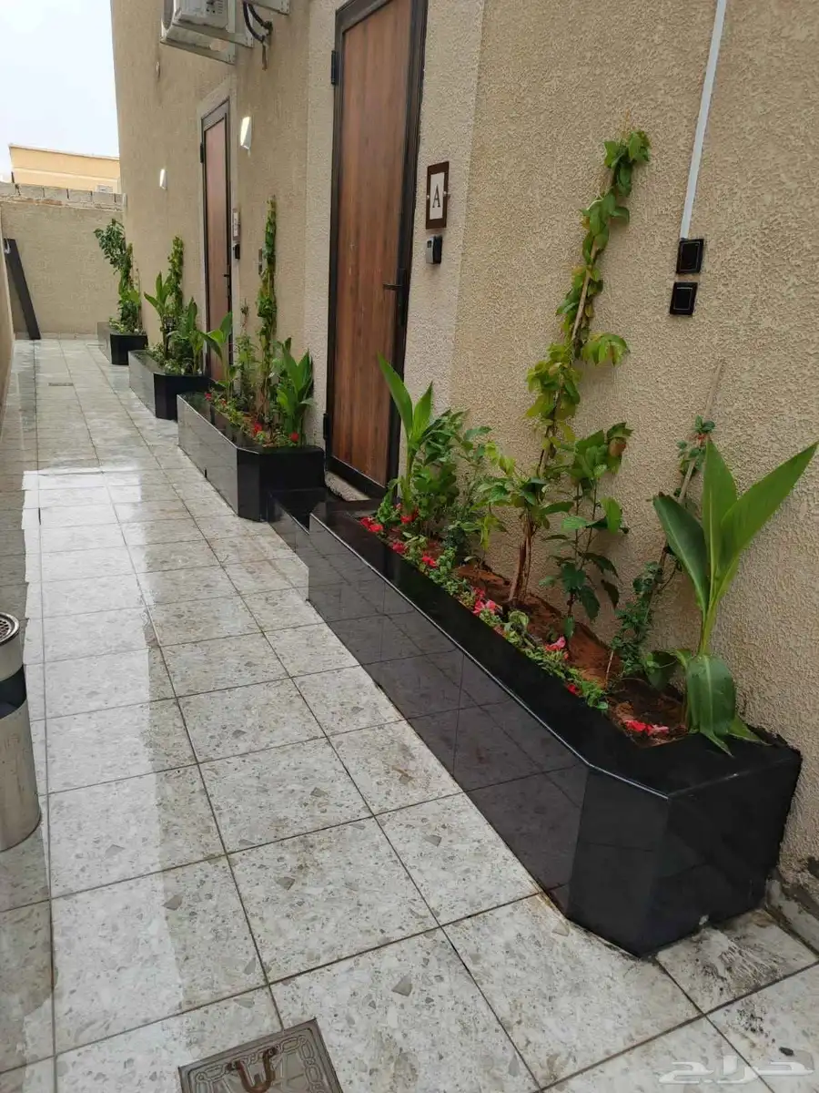 تنسيق حدائق 2