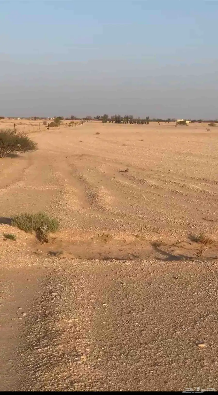 للبيع أرض زراعية شمال ليلى 13 كيلو 0