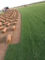 ثيل ياباني 4