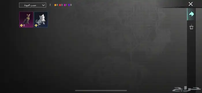 حساب ببجي نادر للبيع 4