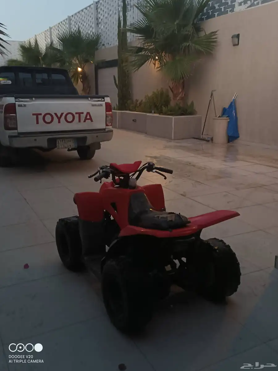 دباب 1