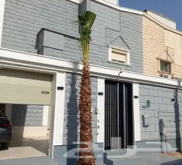 نخل للبيع نخيل والشنطني وعربي نقايل مثمر والشنطنيا خلاص صقعي 3