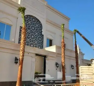 نخل للبيع نخيل والشنطني وعربي نقايل مثمر والشنطنيا خلاص صقعي 4