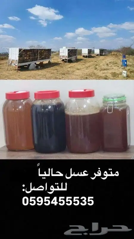 عسل جبلي طبيعي 100 نقي وصافي وبأعلى معايير الجوده 0