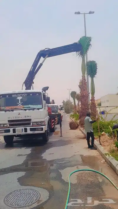 رافعه ونش كرينات للايجار جدة داخل شغل راقم جوال وتس اب 3