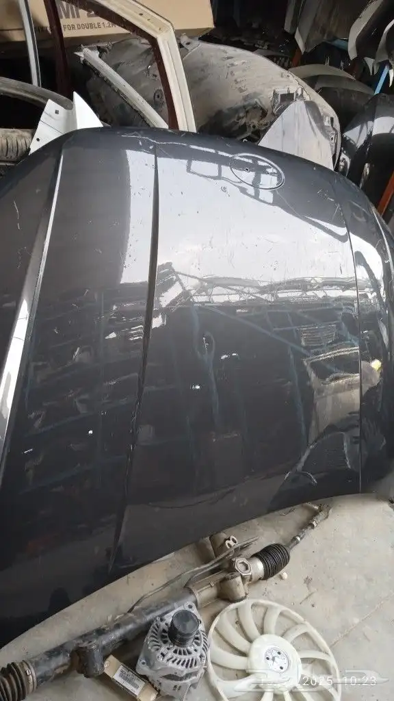 كبوت اكسنت 2024 2