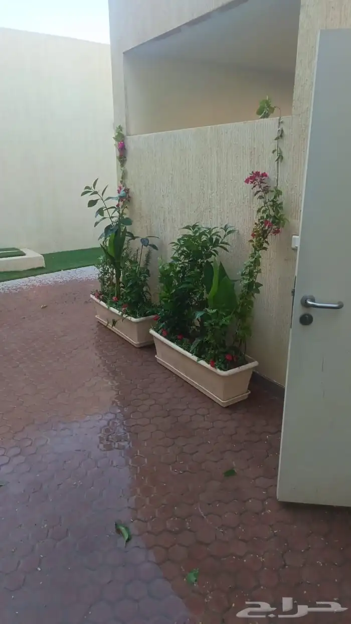 تنسيق حدائق 8