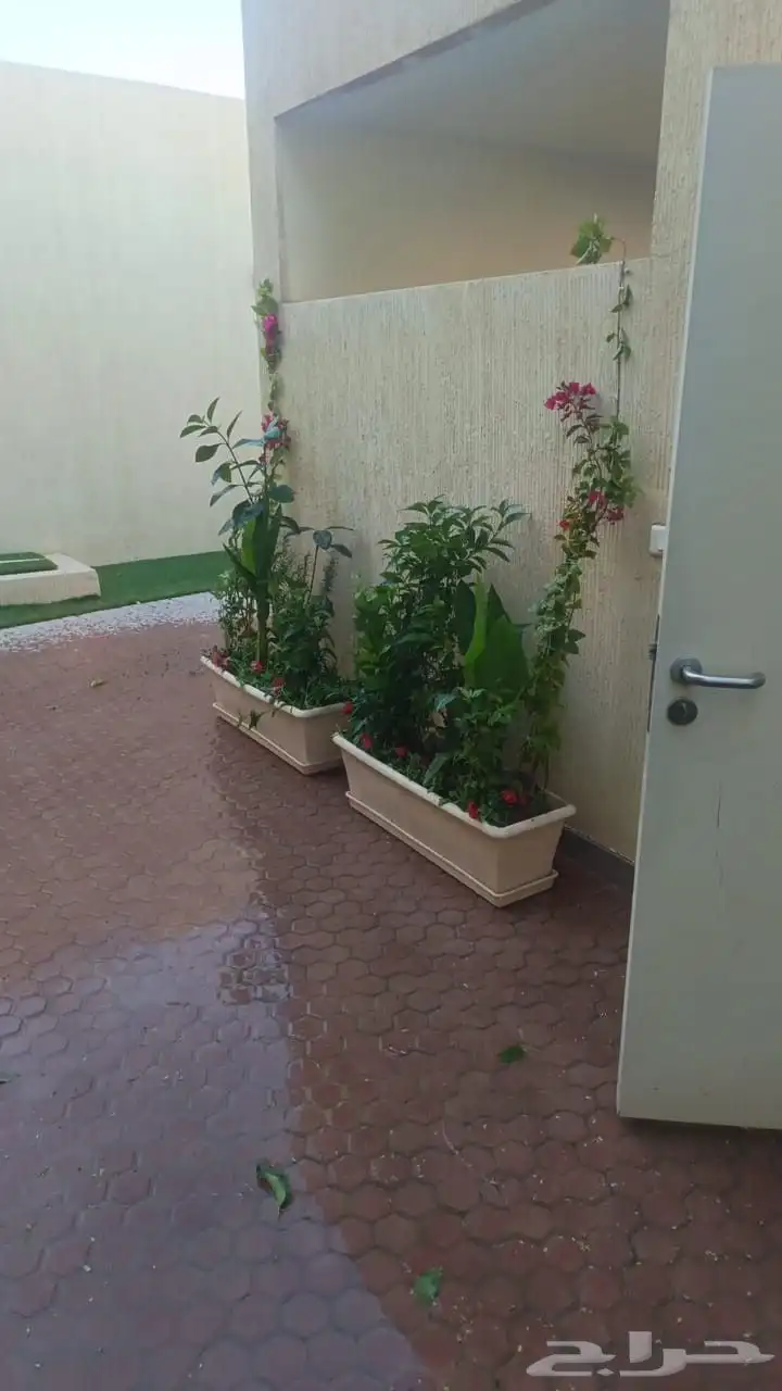 تنسيق حدائق 8