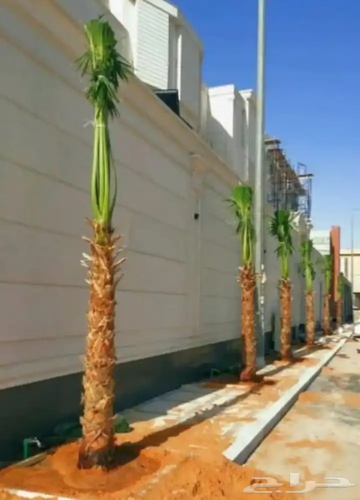 تنسيق حدائق 9