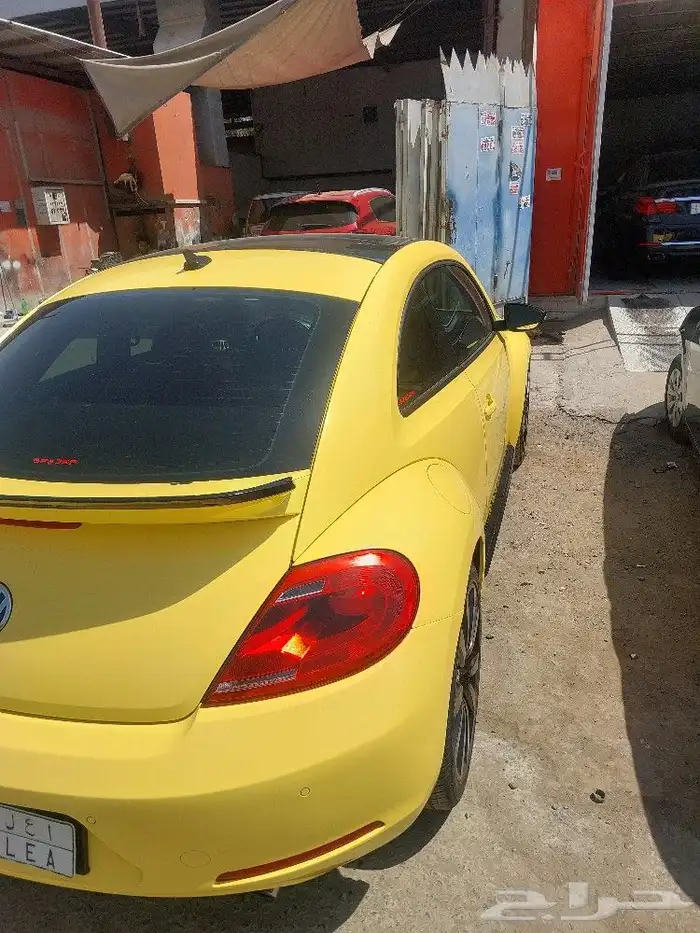 طلاء وصبغ المركبات 8