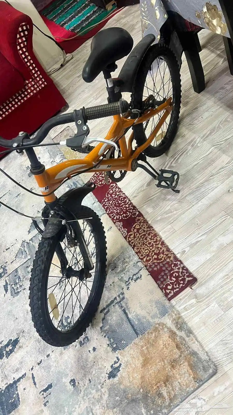 سيكل مقاس 20 0