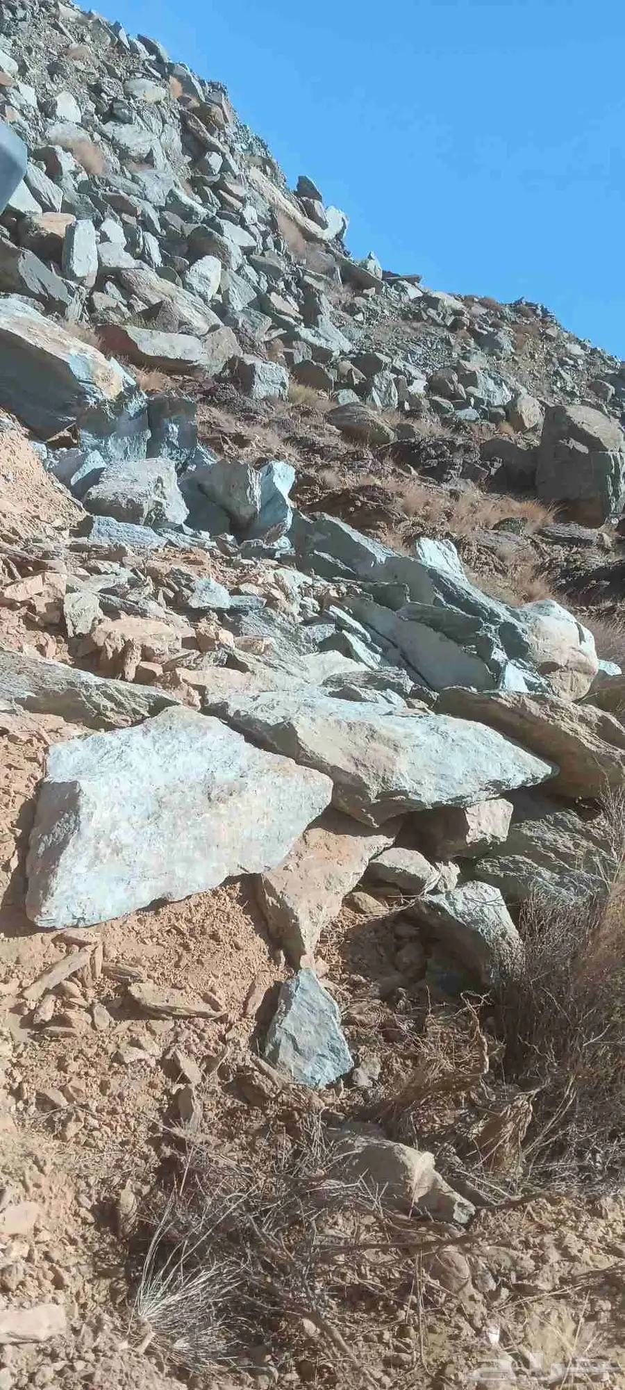 بكلين للايجار 1