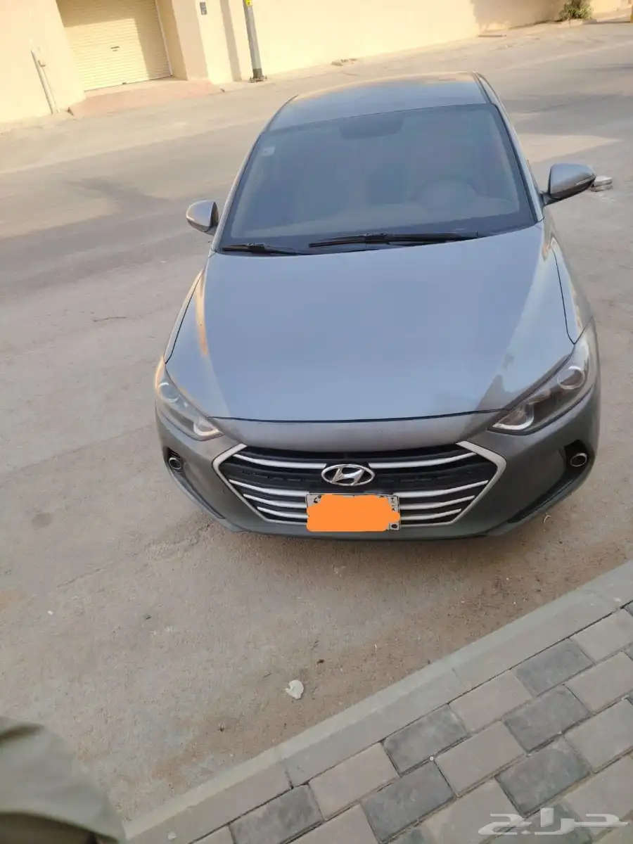 النترا 2016 4