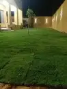 ثيل ياباني 0