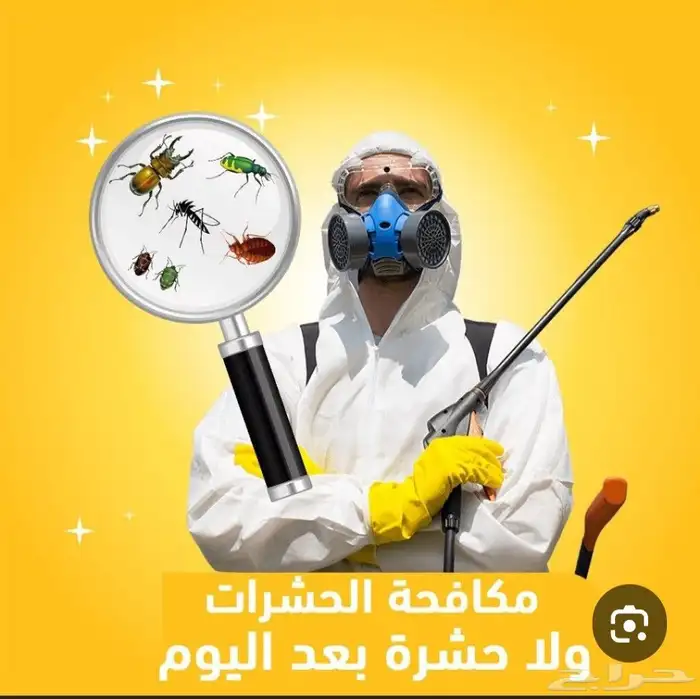 مكافحة الحشرات والقوارض بتبوك 0