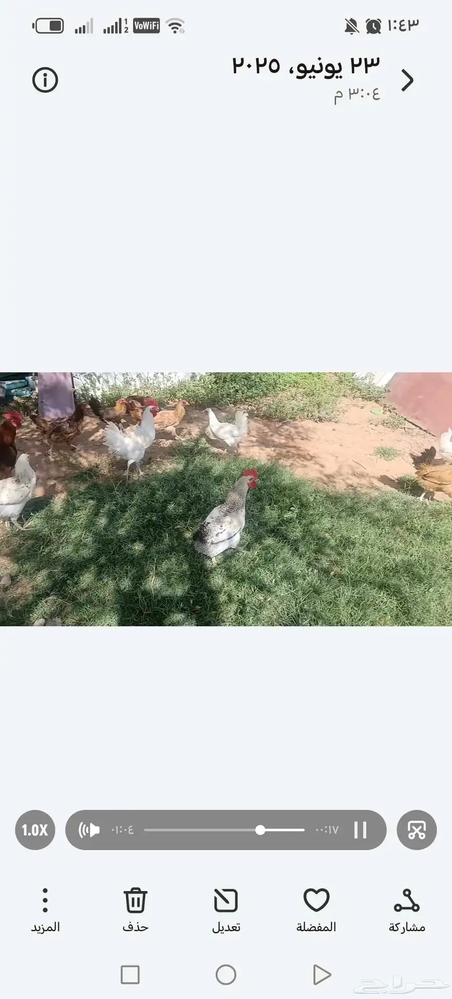 ديوك 2