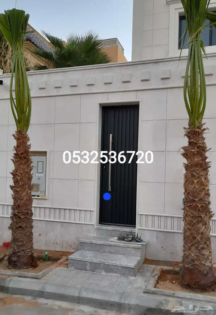 نخل زينه واشنطني للبيع 8
