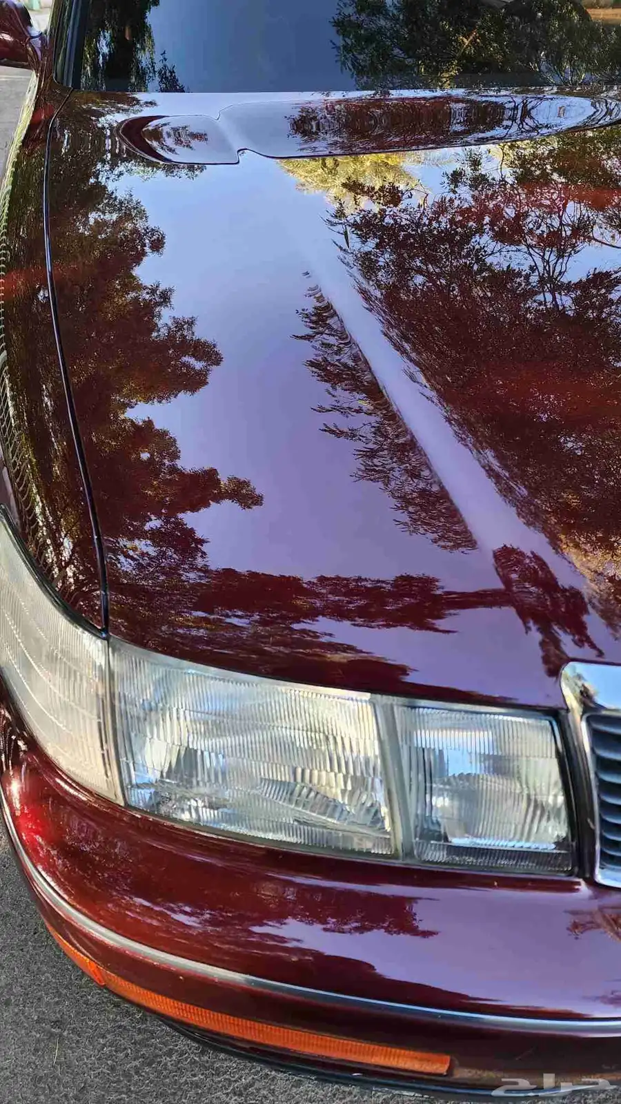 لكزس LS400 مخزن وكالة 5