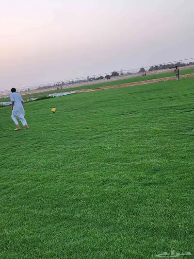 ثيل إنجيلة سي الفين 5