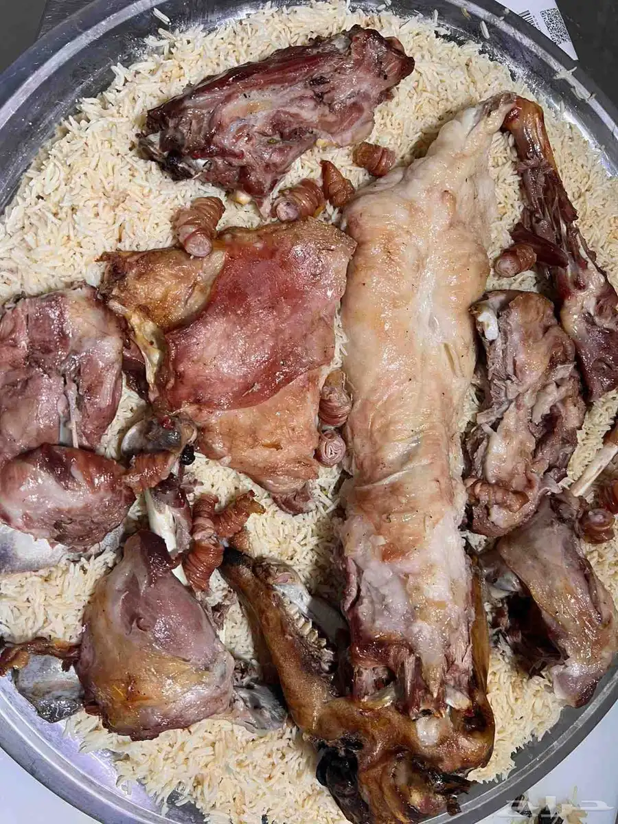 طباخ حنيذ مندي ندي مدني سليق طائفي 4