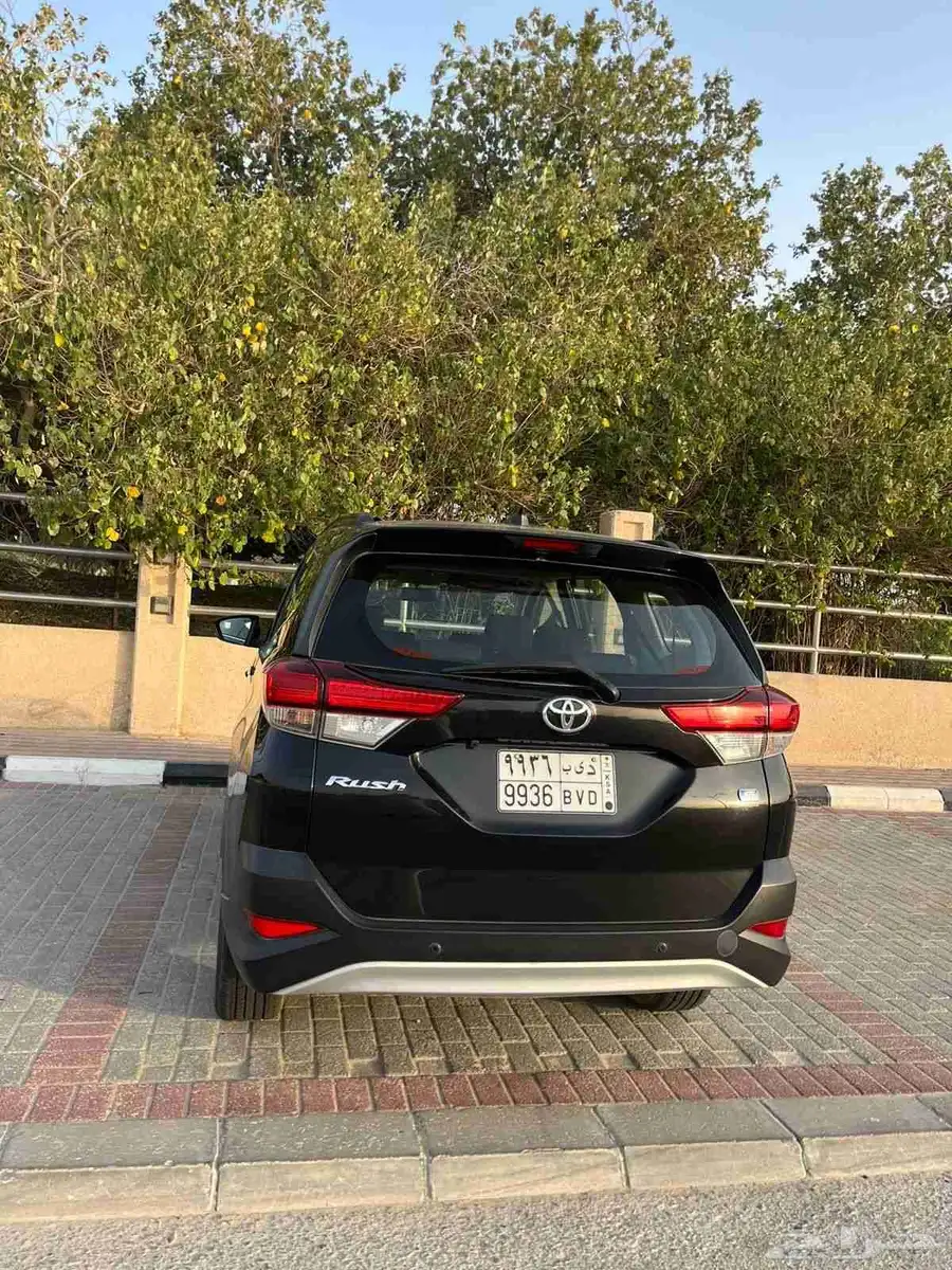 راش 2022 1