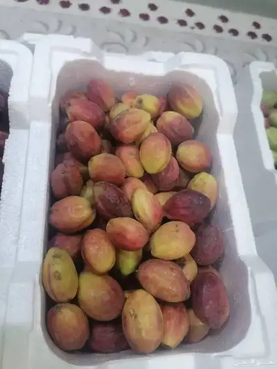 لوز ورطب 5