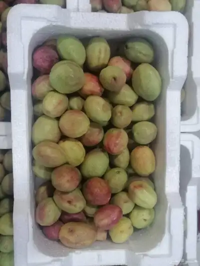 لوز ورطب 4