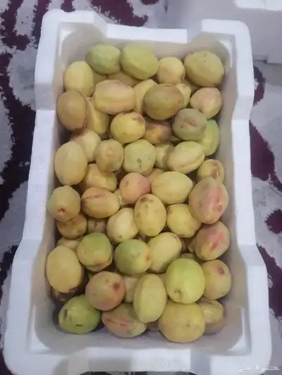 لوز ورطب 7