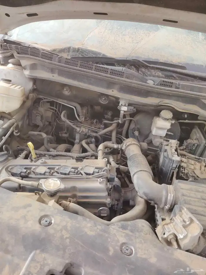 شانجان السفن 2022 3