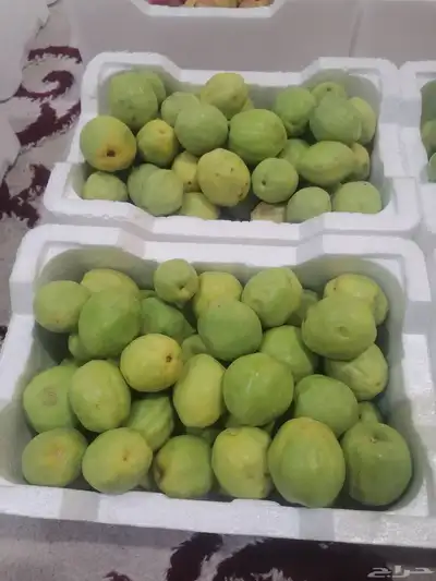 لوز ورطب 8