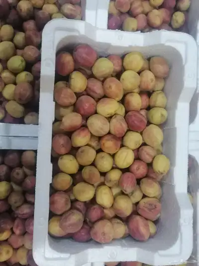 لوز ورطب 6