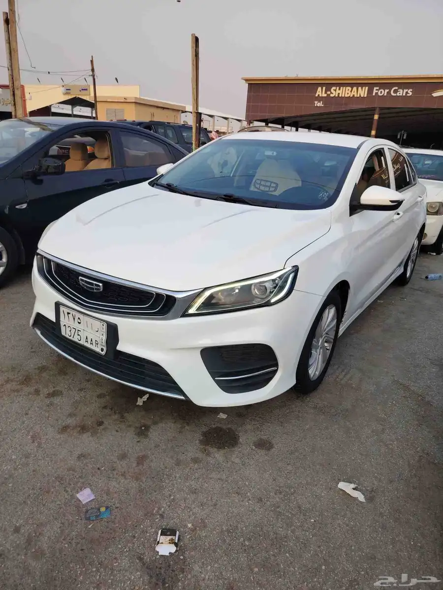 جيلي بينراي 2020 2