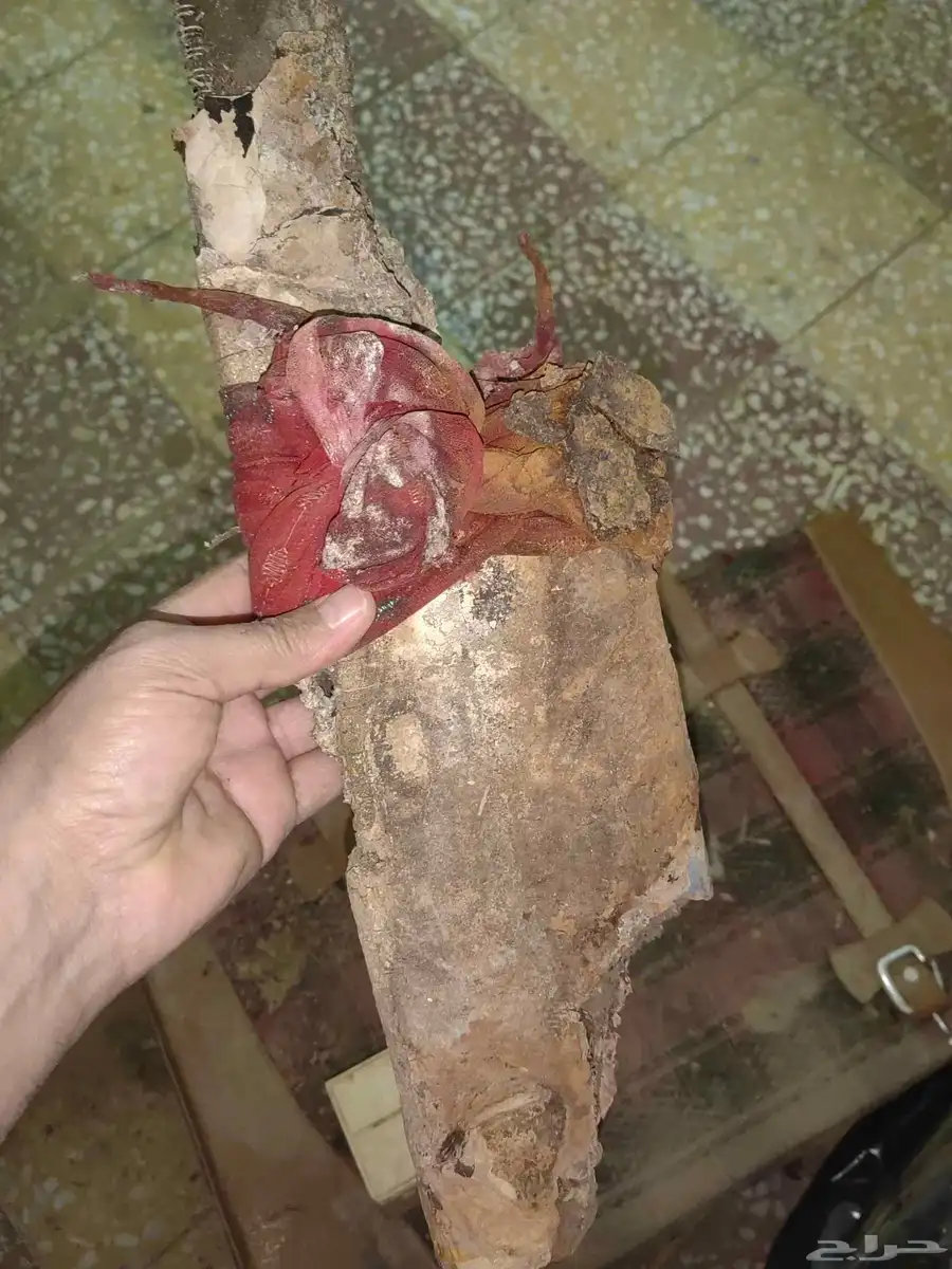 تراثيات قديمه جدا 9
