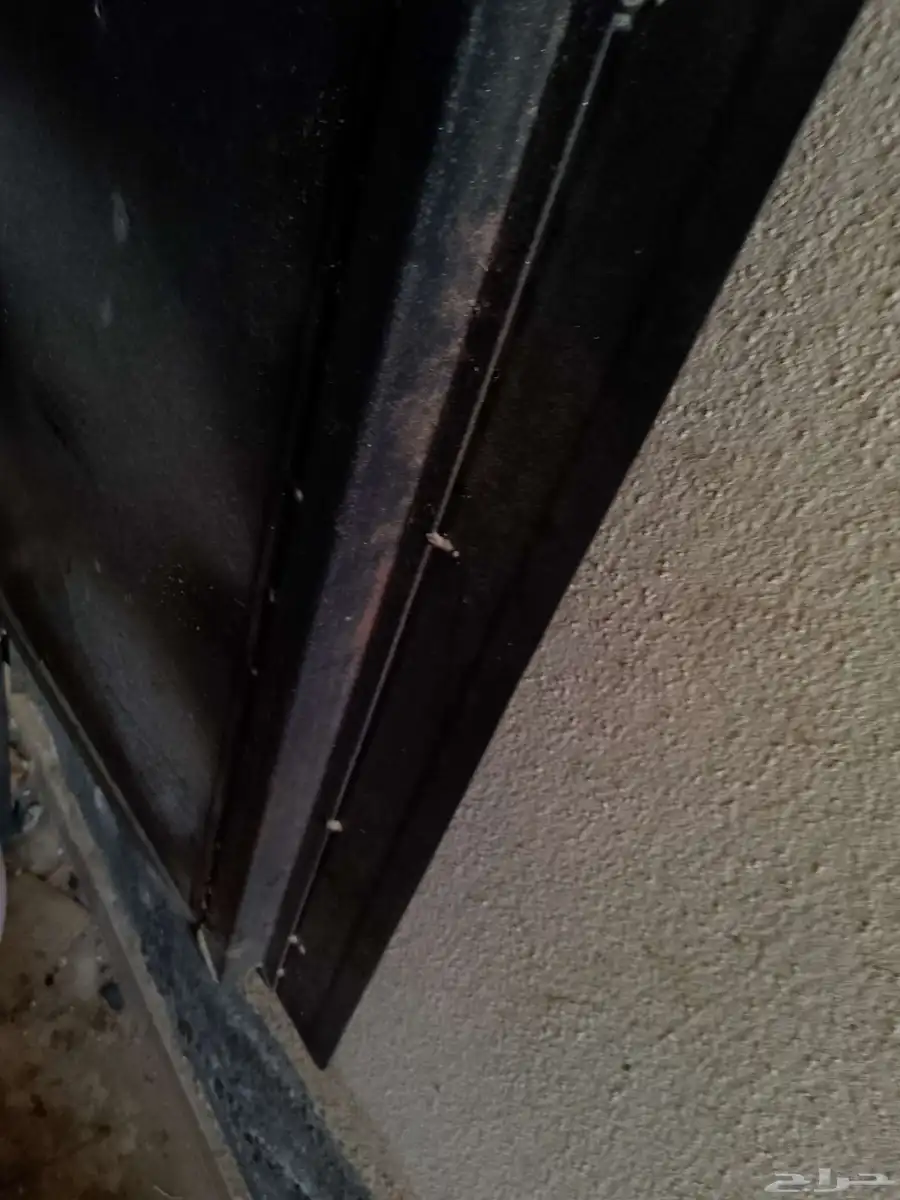فرن ذبايح وفرن فطاير طبقات للبيع بأعلى سومه 2