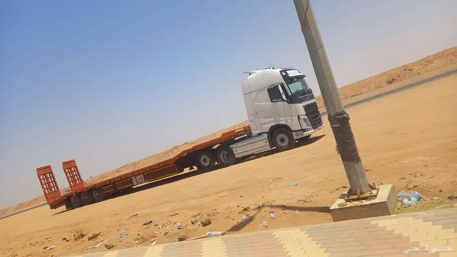 لوبد متواجد في وادي الدواسر 0