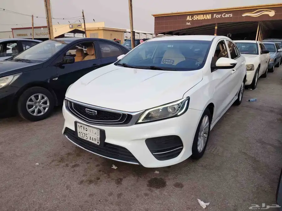جيلي بينراي 2020 3
