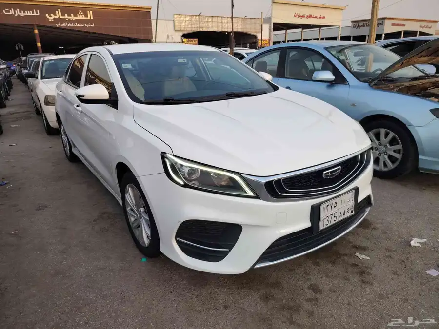جيلي بينراي 2020 1