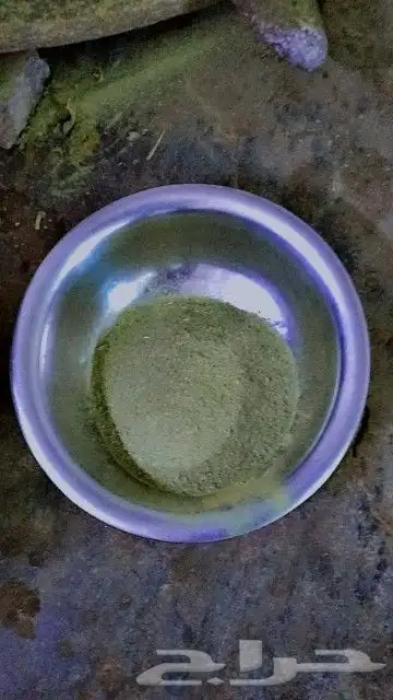سدر طازج 0