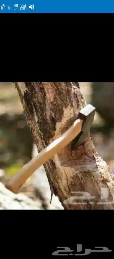 معلم قصه سيجار مزرعه وجميع انواع الزراعه في مكه المكرمه خدمه 3