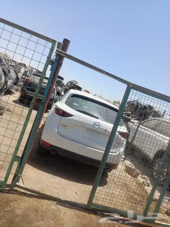 ماذدا 2024 6 0