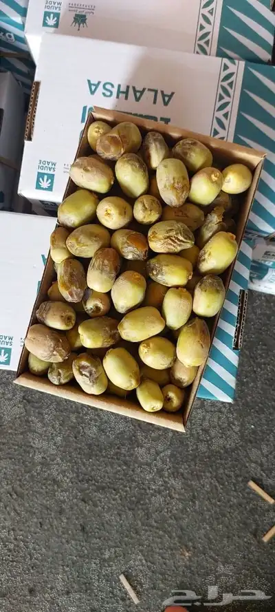 لوز ورطب 2