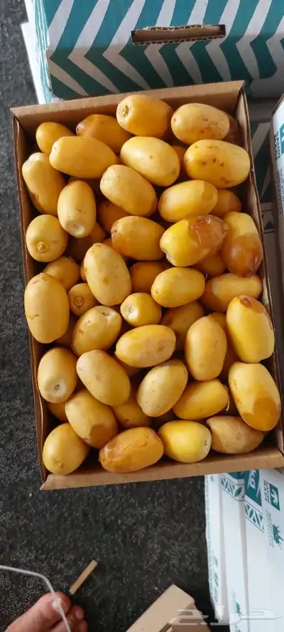 لوز ورطب 0