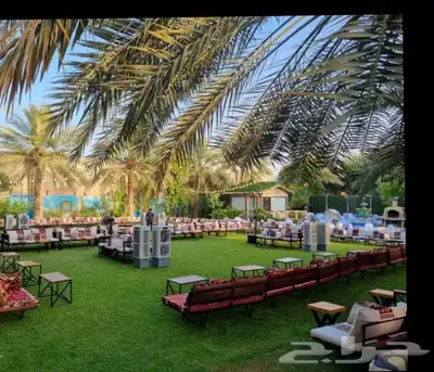 تاجير كرسي وطاولت 22
