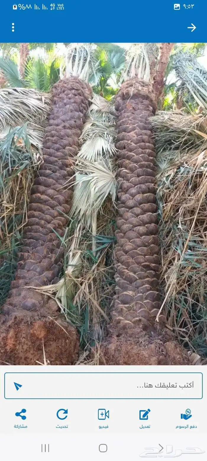 تسوير الاراضي بالشبك 2