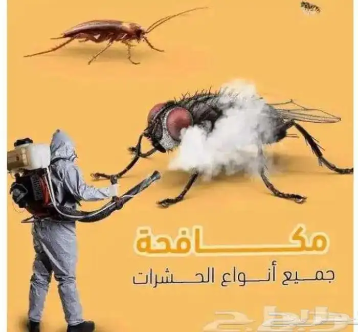 رش الحشرات ومكافحة الفئران بمكة المكرمة 2