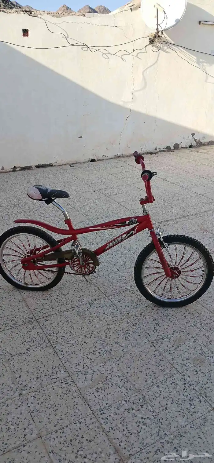سيكل كوبرا مقاس 20 3