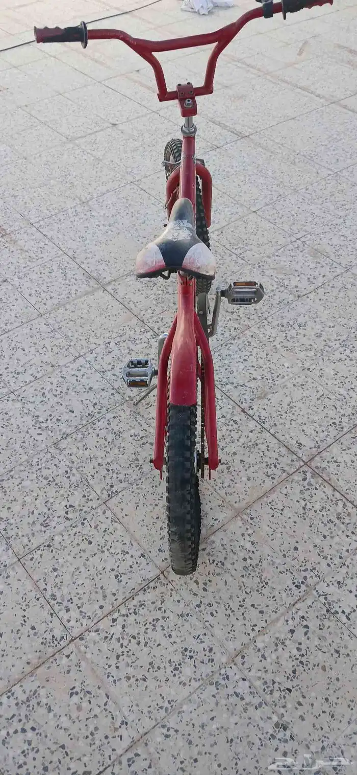 سيكل كوبرا مقاس 20 2