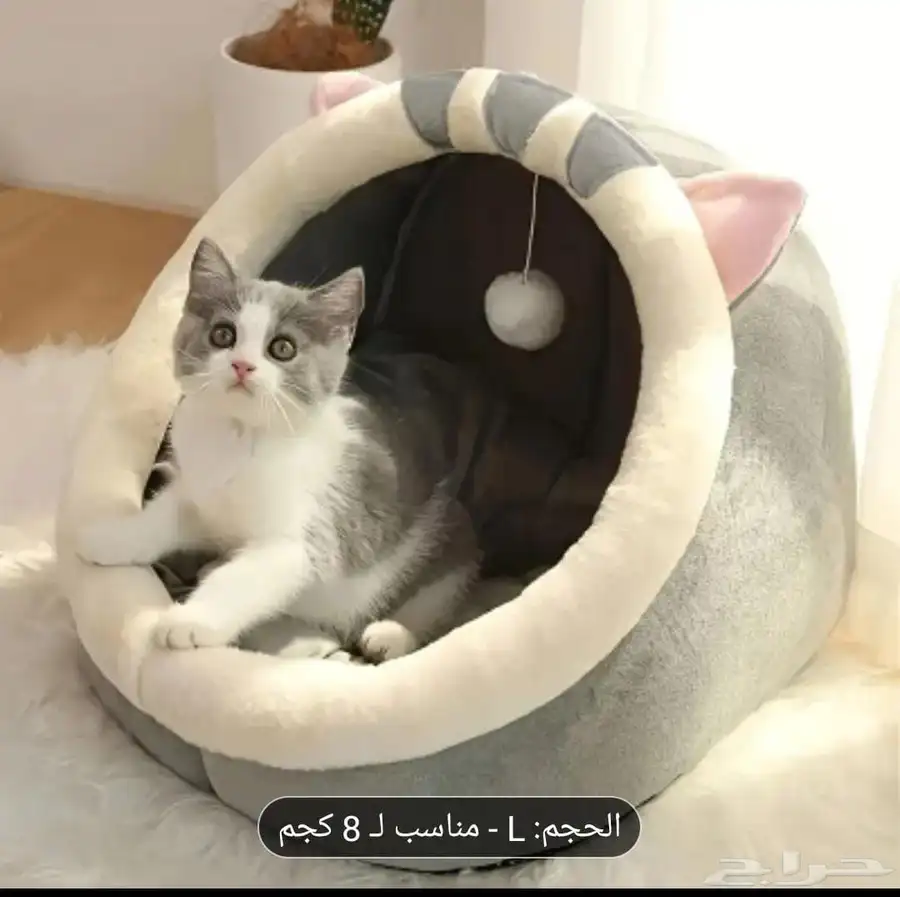 سرير قطه مع ملعقة قطه 0