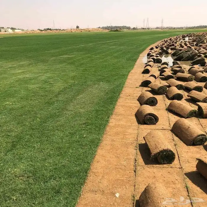 ثيل طبيعي درجه اولى 7
